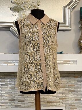 Midnight Velvet Lace sheer Sleeveless Blouse with Collar size 1X